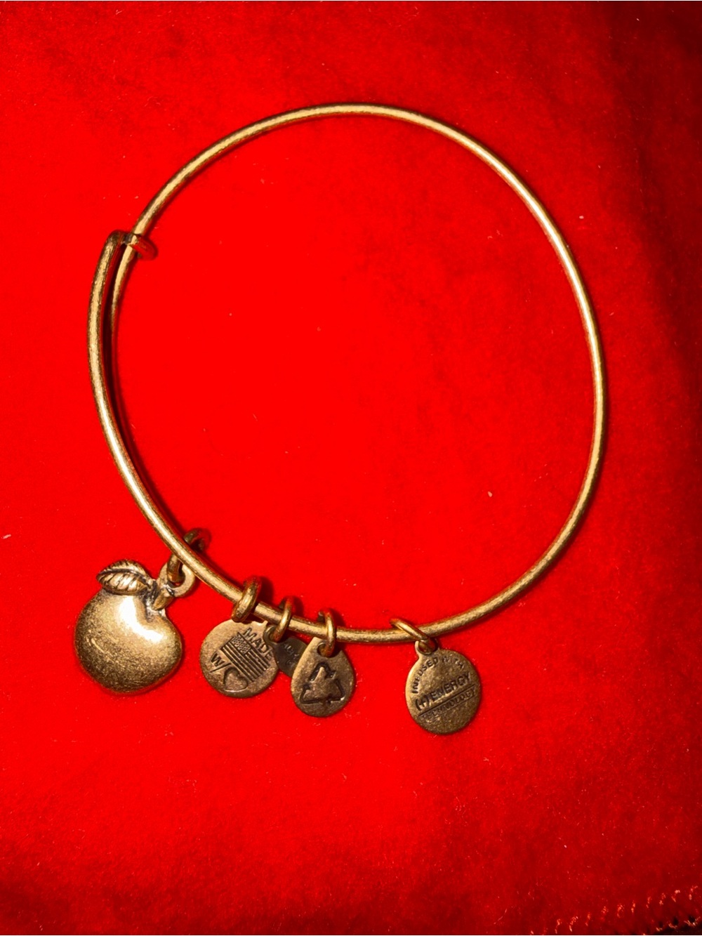 Alex and Ani Gold Apple Charm Bangle Bracelet